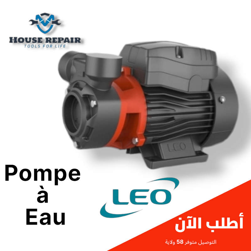 B6-Pompe à Eau LEO
